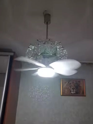 IMG_8307.jpeg